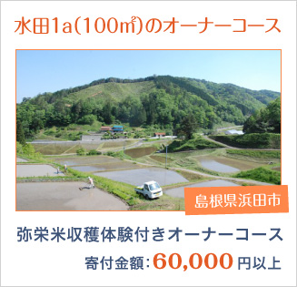 島根県浜田市：131.弥栄米収穫体験付きオーナーコース