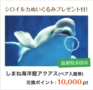 しまね海洋館