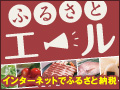 ふるさと納税ポータルサイト「ふるさとエール」