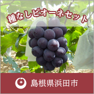 島根県浜田市：24.ピオーネセット