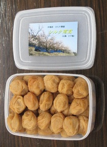 大分県杵築市:A-7 完熟南高梅の梅干し(塩分約13%)