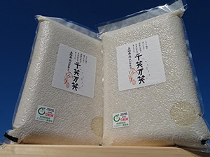  島根県浜田市： 123.弥栄米（こしひかり）10Kg