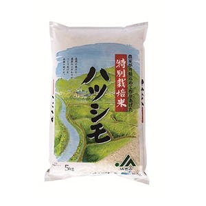 （15）岐阜県産 特別栽培米ハツシモ 5kg