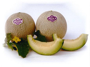 8.アンデスメロン