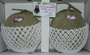 肥後グリーンメロン
