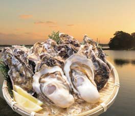 【025-01】壱岐 内海湾産 殻つき生牡蠣