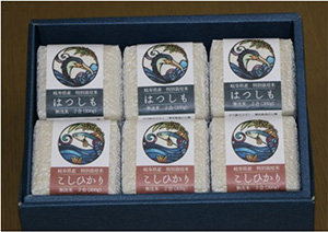 A5.キューブ米「ハツシモ」「コシヒカリ」６個セット