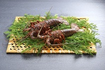 B-21 伊勢海老 2尾【期間限定】