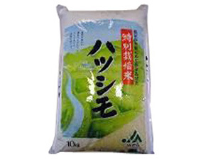  岐阜県羽島市：A002 特別栽培米　ハツシモ