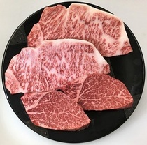 岐阜県高山市:B01 A5飛騨牛最上級部位ステーキ4枚