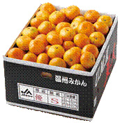  佐賀県唐津市：A-57　うまか美人