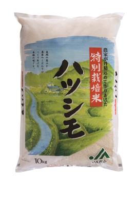 （40）岐阜県産特別栽培米ハツシモ 20kg (10kg×2袋)