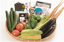熊本県美里町：A-１．季節の野菜及び特産品