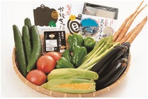  熊本県美里町：F-1．季節の野菜及び特産品（定期便年4回：4月・7月・10月・1月）