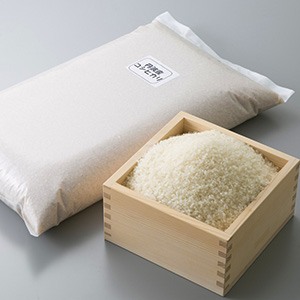 A11 亀岡産コシヒカリ