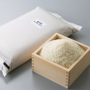 A12 亀岡産キヌヒカリ