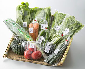 G4 旬の京野菜 頒布会（1年間）