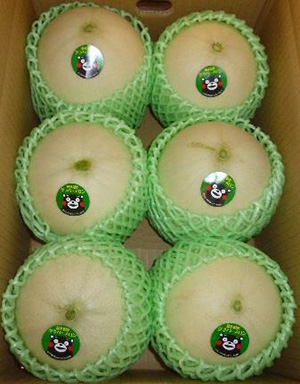 19.グラバーメロン