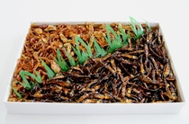  秋田県八郎潟町：安田のつくだ煮本舗の佃煮