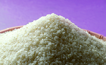  三重県紀宝町：Ｃ0１１　レンゲ米（コシヒカリ）　１５ｋｇ　特別栽培米