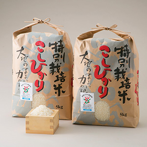 滋賀県高島市：【T-521】よこいファーム 特別栽培米コシヒカリＡ