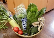 岐阜県高山市：A17 季節の特選「飛騨の野菜セット」