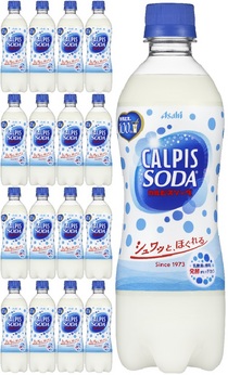  大阪府箕面市：[10-L]「カルピスソーダ」24本セット