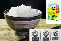 岐阜市：（35）岐阜県産特別栽培米ハツシモ5kg、キューブ米3個　詰め合わせ