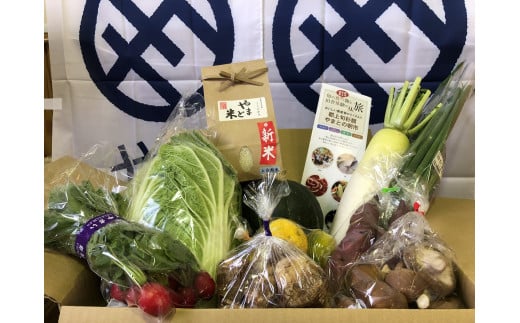  岐阜県郡上市： 【R-9】[定期便]郡上の旬野菜とお米（年３回）