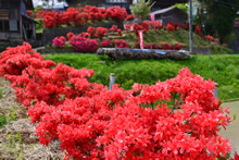 石川県穴水町:能登峨山きりしま