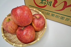 穴水産葉とらんりんご