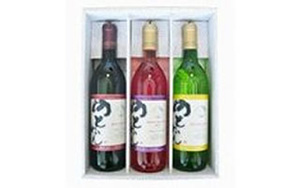 Ａ-2　能登ワイン３本セット