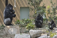 京都府京都市：①京都市動物園観覧券（ペア）