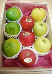 岐阜県笠松町：シオキチのフルーツ