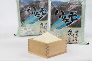 【13】岐阜県産　減農薬米ハツシモ　5ｋｇ×2