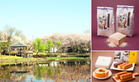 茨城県坂東市