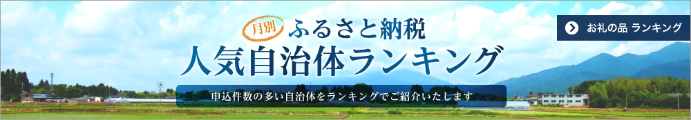 ふるさと納税 人気自治体ランキング